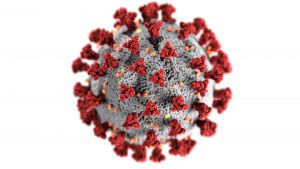Public Health